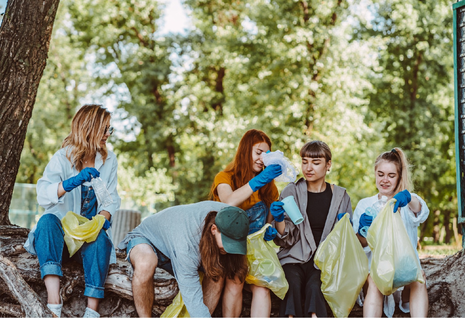 WhatsApp Image 2024-12-31 at 9.58.22 PM